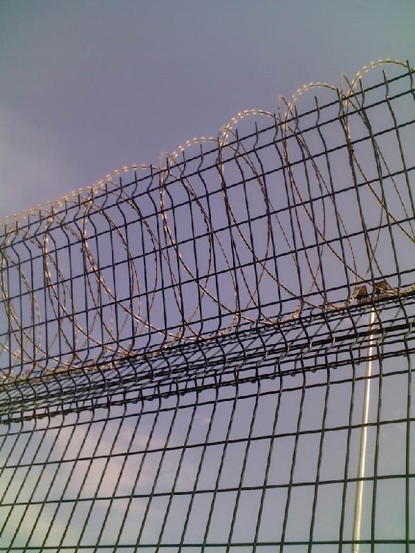 供应监狱防攀爬网监狱刀片刺网钢网墙