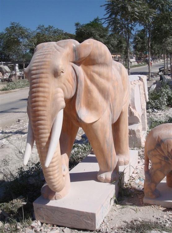 供应河南省晚霞红大象雕塑/汉白玉大象石雕/大象雕塑厂家