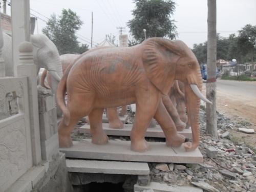 和龙市晚霞红大象雕塑/汉白玉大象批发