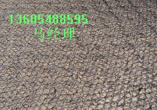 新疆三维网垫规格齐全，复合土工布价格低三维土工网垫18