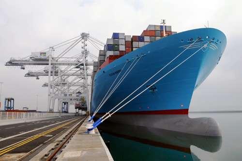 家具国际海运家具散货运至布里斯班批发