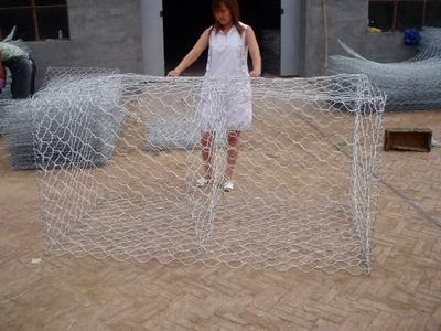 安平明洋专业生产网兜石笼网，石笼网网袋，石笼网网箱