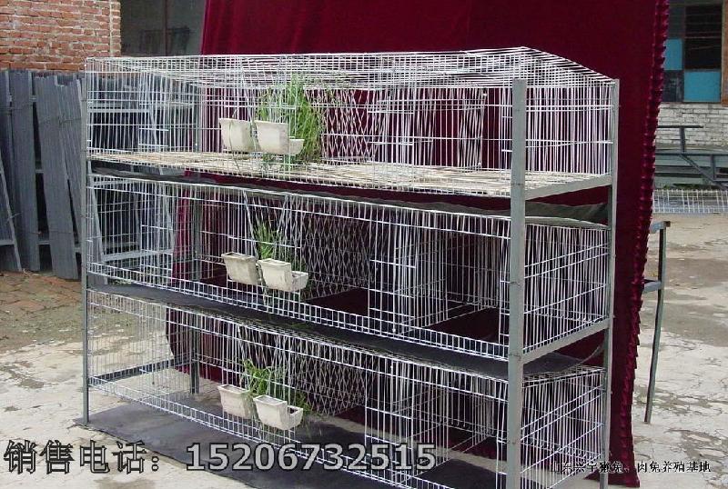 供应兔笼兔笼价格 獭兔养殖笼具养兔设备獭兔养殖场专用兔笼供应图片