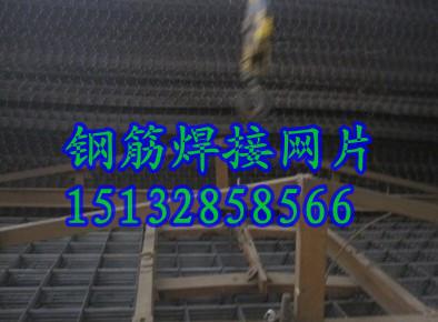 供应D12钢筋焊接网