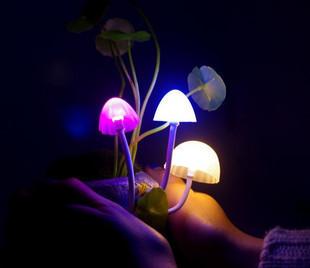 供应阿凡达蘑菇灯/陶瓷树脂LED夜灯