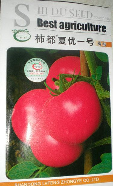 柿都夏优一号-番茄种子批发