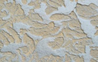 供应湖州马来漆硅澡泥艺术涂料供应商图片