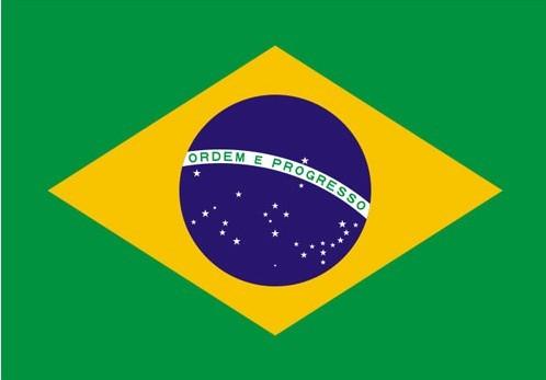 巴西工作签证_巴西工作签证供货商_供应巴西