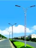 天津市路灯杆厂家生产、销售、批发路灯杆