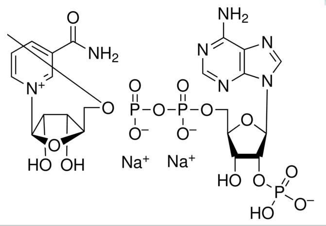 供应NADPNa2氧化型辅酶Ⅱ二钠现货供应24292-60-2