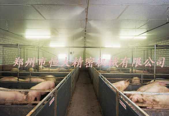 供应养殖场猪场喷雾降温消毒设备厂家上门安装设备维护