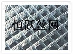 供应不锈钢电焊网-养殖电焊网