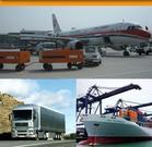 从罗马尼亚出口到中国的松木运输批发