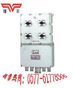 供应BM(D)X51-IIB-□L防爆照明动力配电箱漏电保护惟丰图片