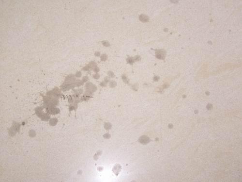 温州地板砖清洗剂批发