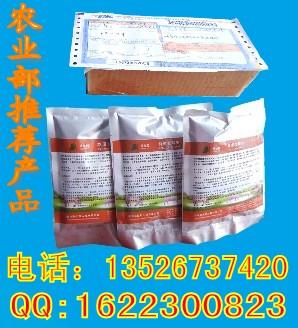 郑州市发酵青玉米秸秆养牛养羊技术方法厂家