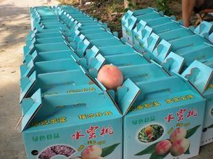 宁波市奉化水蜜桃企事业单位礼品装厂家供应用于吃用的奉化水蜜桃企事业单位礼品装