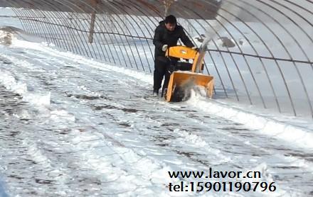 吉林省大棚抛雪机总经销，专业小型扬雪机制造厂