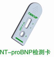 供应N末端B型钠尿肽原检测试剂盒