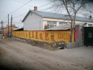 哈尔滨市黑龙江做墙体广告找摆渡人厂家供应黑龙江做墙体广告找摆渡人