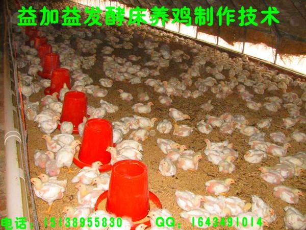 供应贵州都匀附近哪里有卖发酵床养鸡菌种菌液的图片