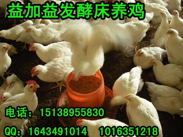 供应韩国日本发酵床养鸡专用em菌种菌液复合微生态em原露制剂