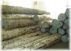 供应印度红木进口清关代理/国外木材如何运进国内图片