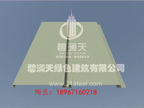 杭州市新型彩钢墙面板厂家
