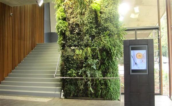 供应北京市最好的植物墙生态墙垂直绿化