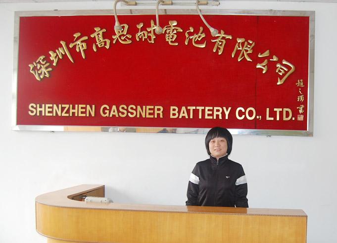 深圳市高思耐电池有限公司