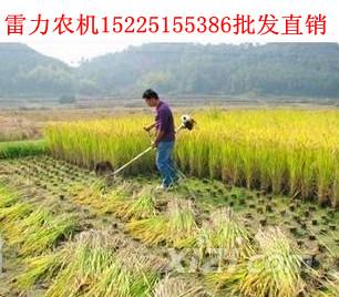 小型收割机小型水稻收割机批发