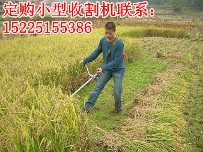 小型收割机/小型水稻收割机价格批发