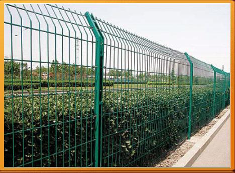 供应金色桃形双边丝护栏网，黑、红、黄、蓝色双边丝护栏网