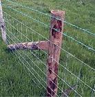 供应乳畜厂隔离防护安全护栏网保护性护栏网