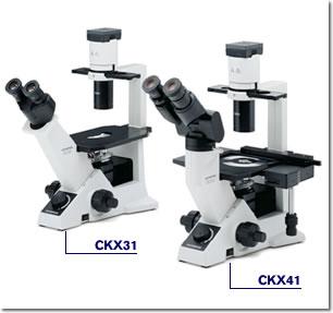供应二手CX41显微镜