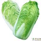 深圳市新鲜蔬菜配送-南山蔬菜配送-厂家供应新鲜蔬菜配送-南山蔬菜配送-快捷健康