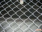 供应河北达标专业生产筛网不锈钢网