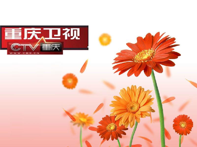 重庆电视台卫视频道植入式广告批发