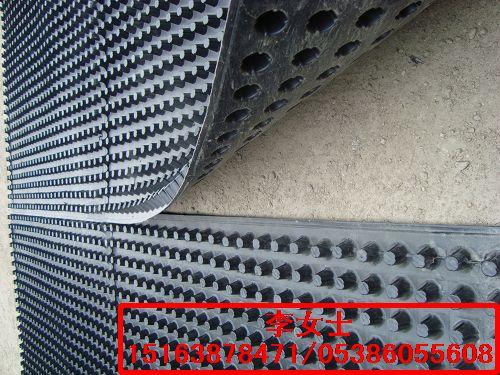 供应丽川车库顶板绿化排水专用-塑料排水板