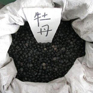 供应 中国国花混色牡丹种子图片