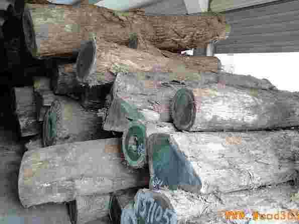 供应微凹黄檀进口代理广州木材进口清关海运商检一条龙