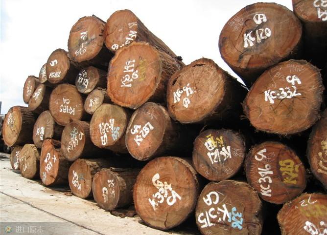 广州黄埔港木材进口需要的手续批发