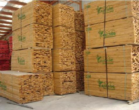 原木进口海运木材板材进口商检批发