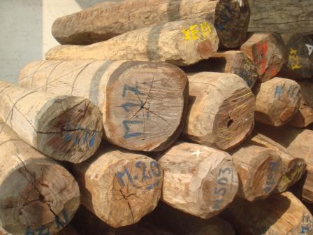 供应广州黄埔港木材进口需要的手续？黄埔港木材进口需要费用？