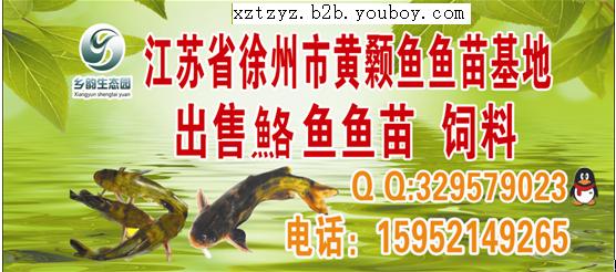 供应徐州黄颡鱼价格，最新黄颡鱼行情市场，角角鱼鱼苗养殖基地