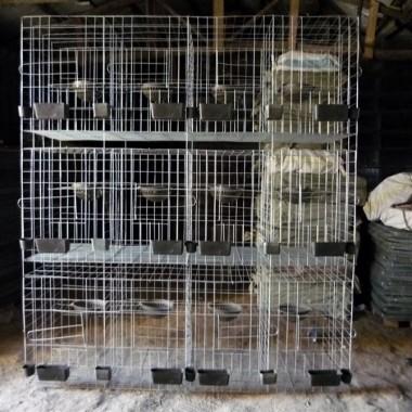 供应鸽笼出厂价，三层12位镀锌鸽笼，鸽笼厂家