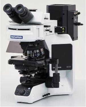 供应显微镜BX53，奥林巴斯显微镜BX53