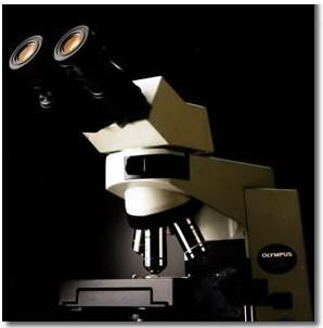 教学显微镜CX41-32C02批发