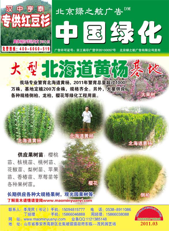 中国绿化DM杂志广告征集批发