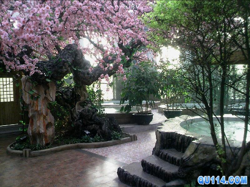 供应北京国际商务温泉度假酒店图片